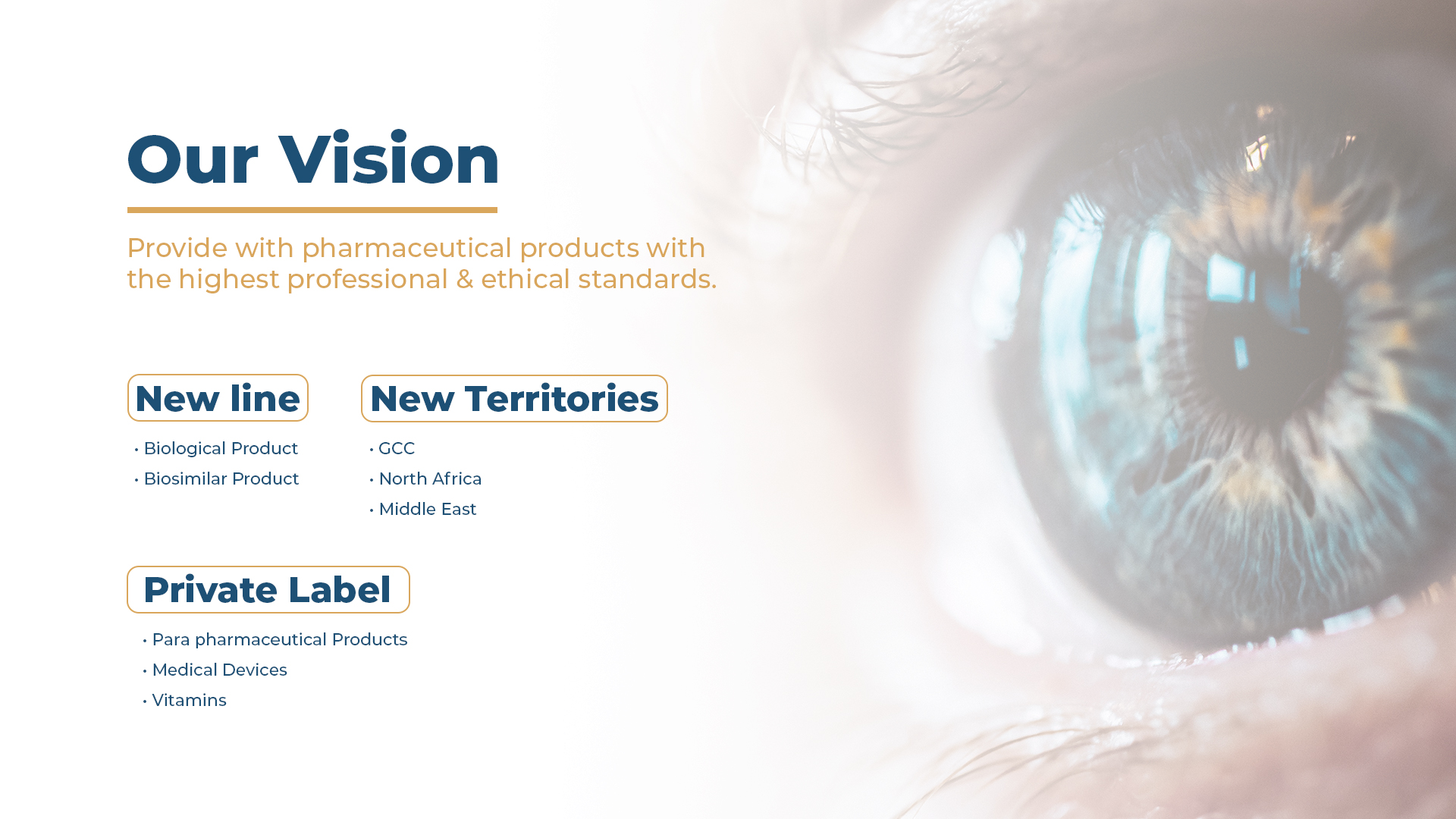 Our Vision